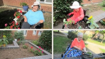 Ilford care home Residents go green fingers for gardening competition